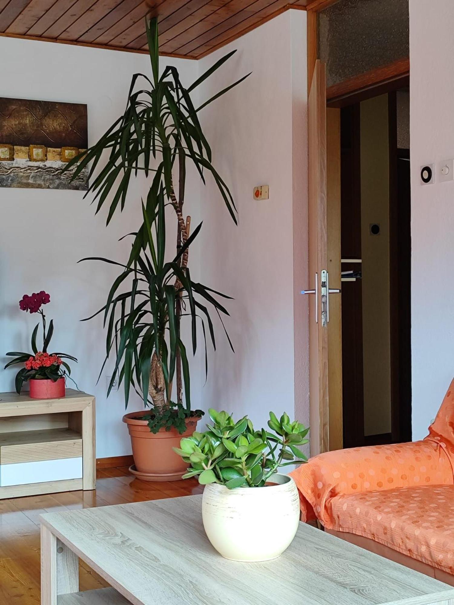 Apartment Kolman Tolmin Kültér fotó